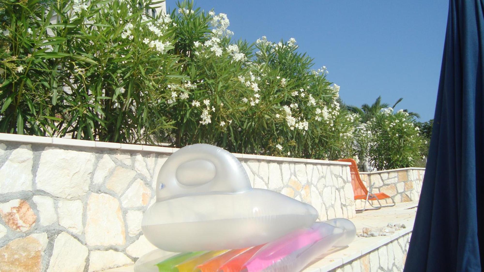 Apartments Niana With Heated Seawater Swimingpool Donji Okrug  Exterior photo